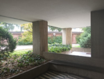 Bilocale con terrazzo a Cologno m.se - immagine 15
